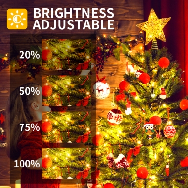 LED圣诞灯 - HCP150 LED透明皮线灯